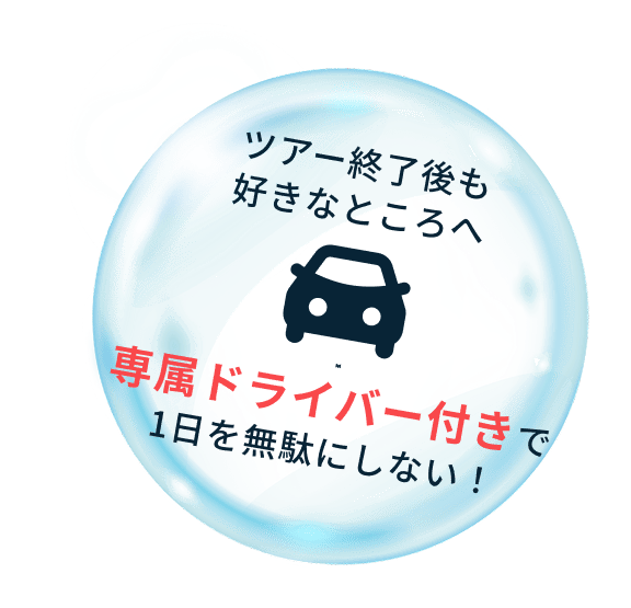 ツアー終了後も好きなところへ。専属ドライバー付きで1日を無駄にしない！